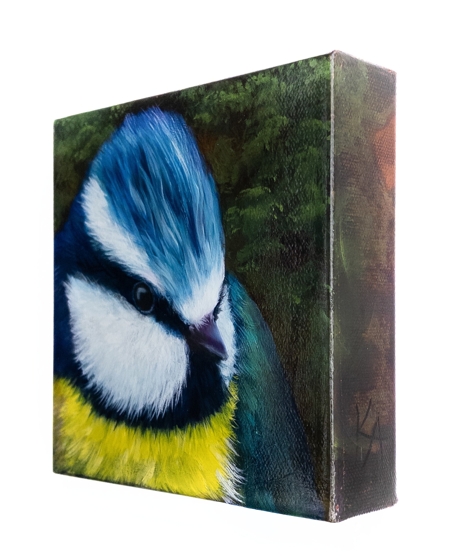 "Beauty That Cannot Hide"