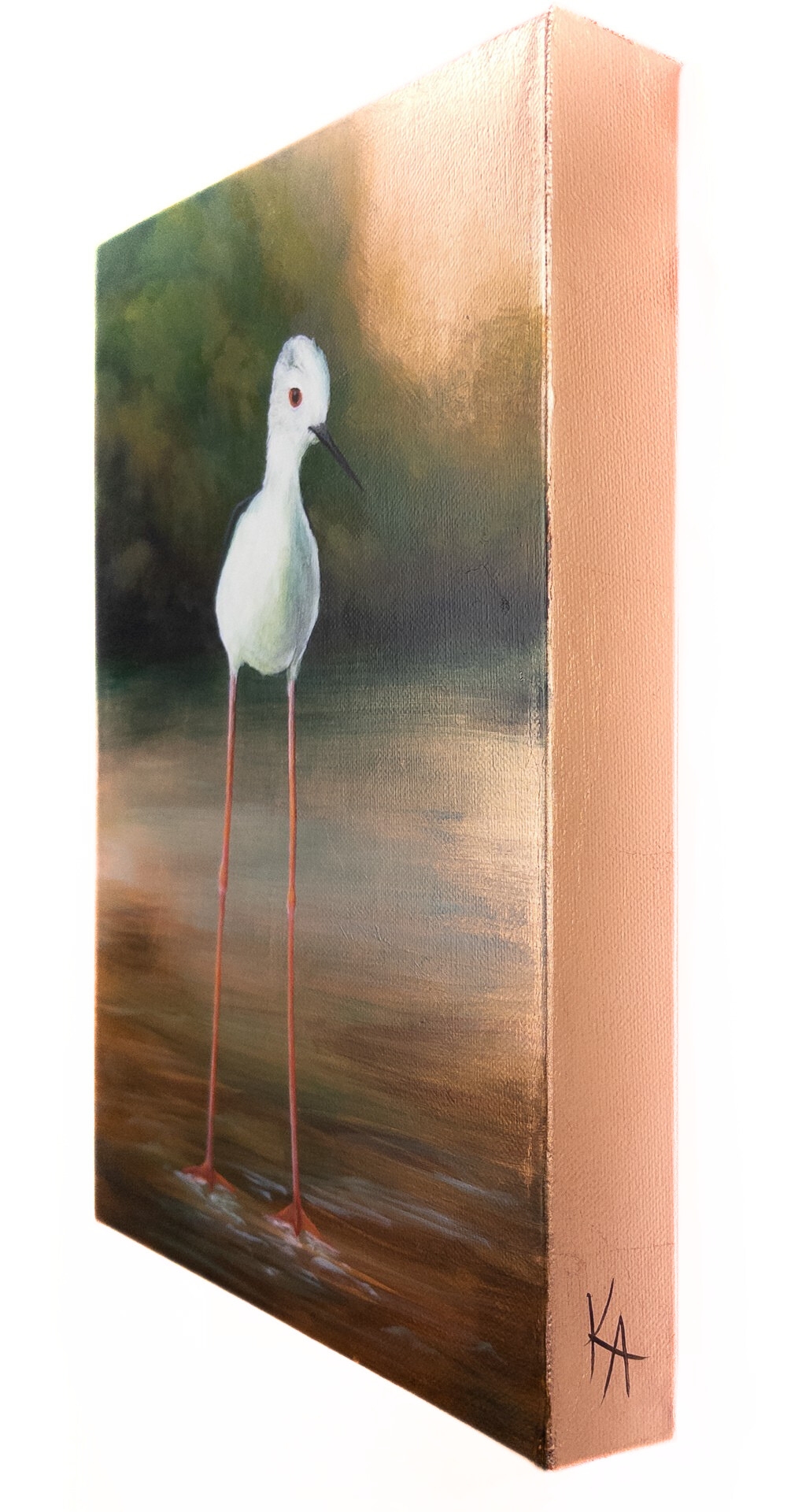 "A Pause in Quiet Shallows"