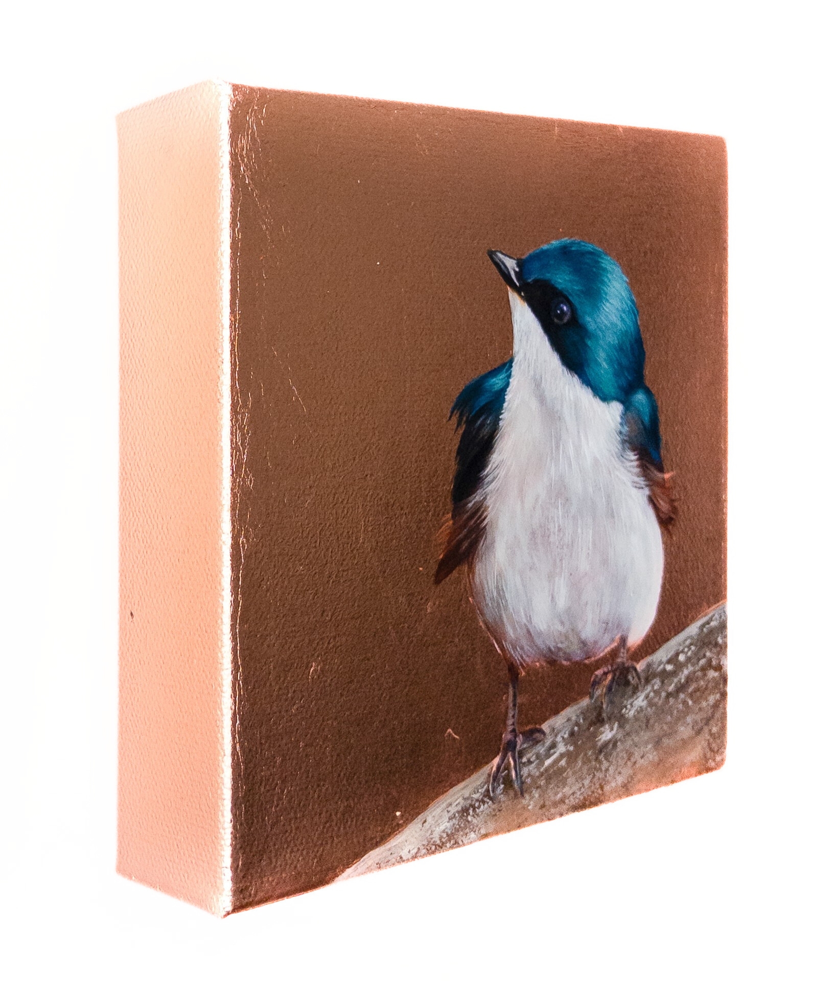 "Brave Little Heart, Big World"