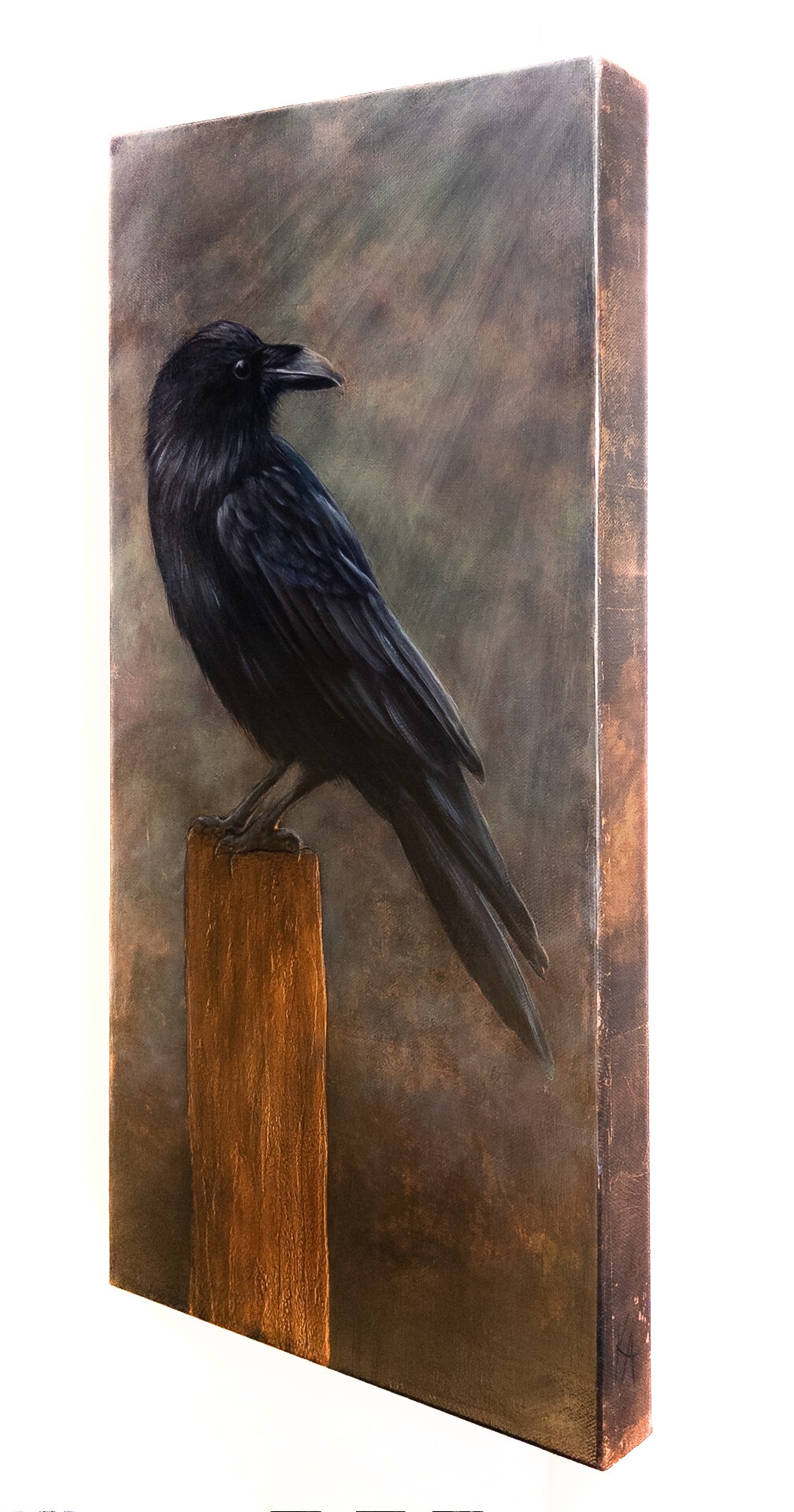 "See Light Through the Shadows "