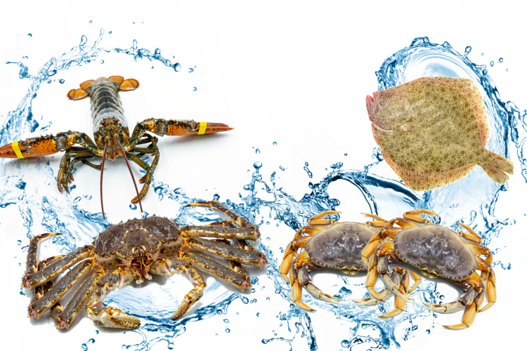 Live Seafoods