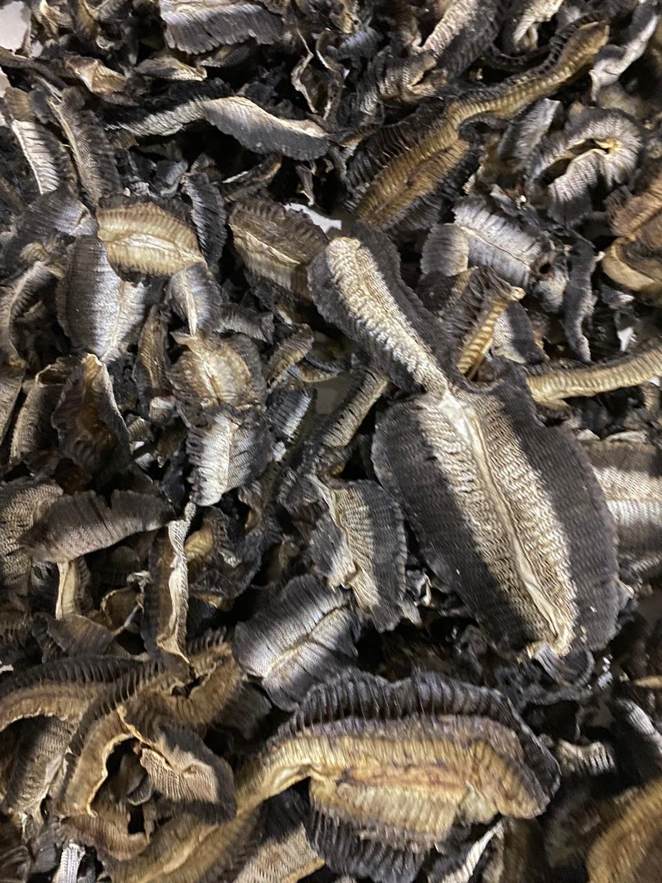 Dried Fish Gills