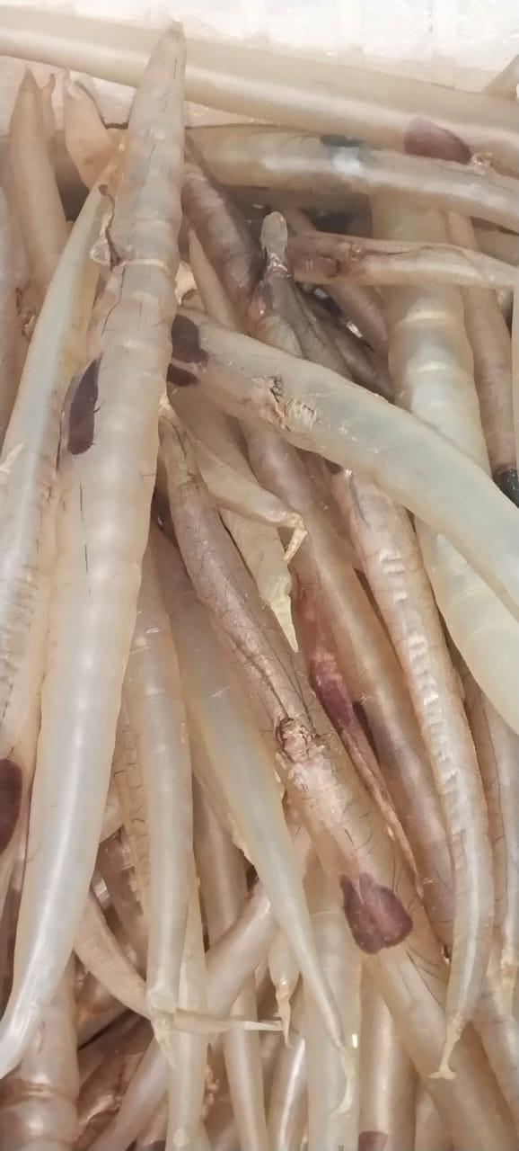 Fresh Dried Eel (Unagi)
