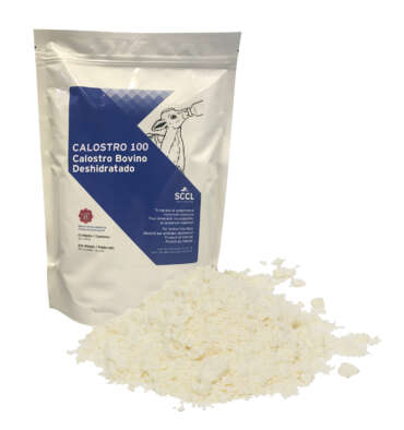 Calostro 100