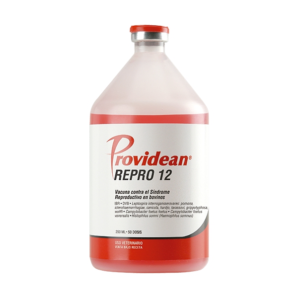 Providean REPRO 12