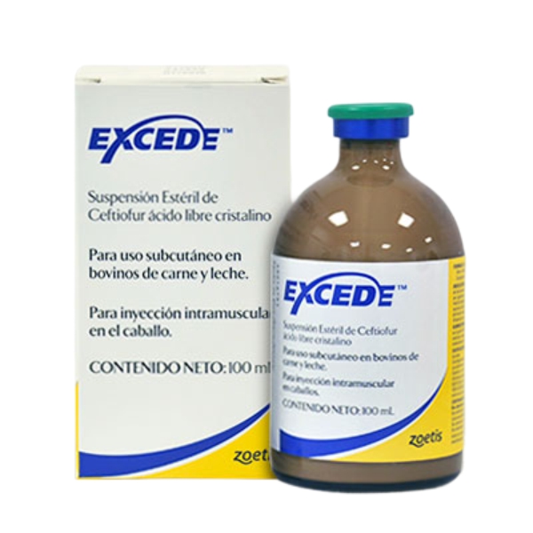 EXCEDE