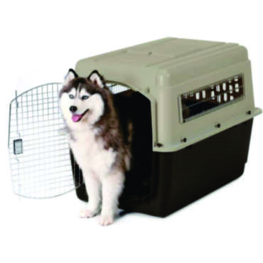 Transportadora para perros