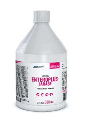 Enteroplus Jarabe 500 ml