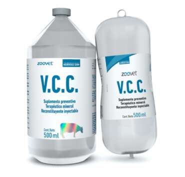 VCC Zoovet