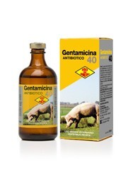 Gentamicina 40