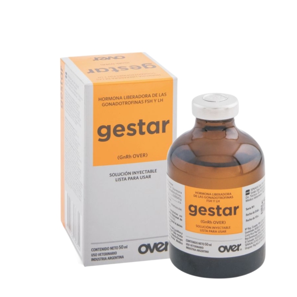 Gestar