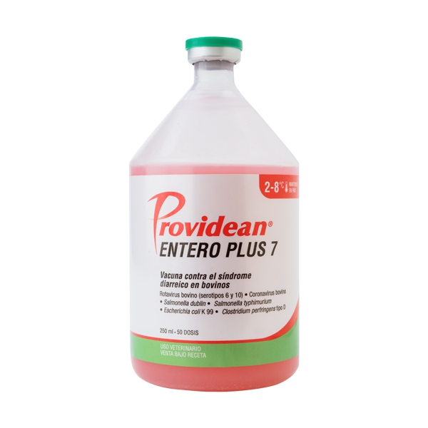 Providean Entero Plus 7