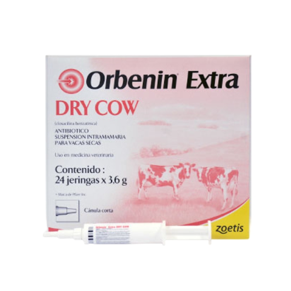 Orbenin Extra Dry Cow
