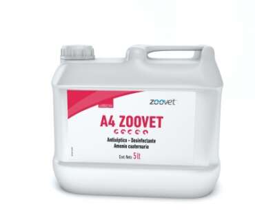 A4 Zoovet