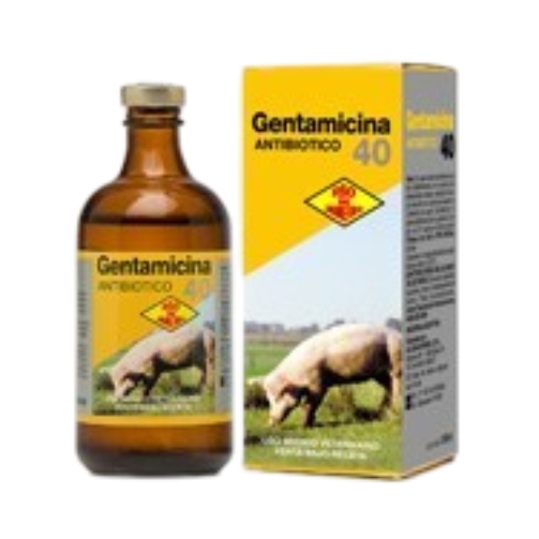 Gentamicina 40