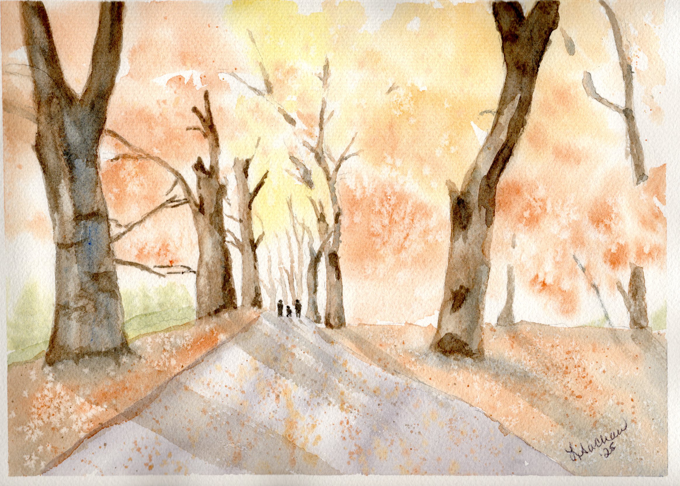 Walk Through the Trees