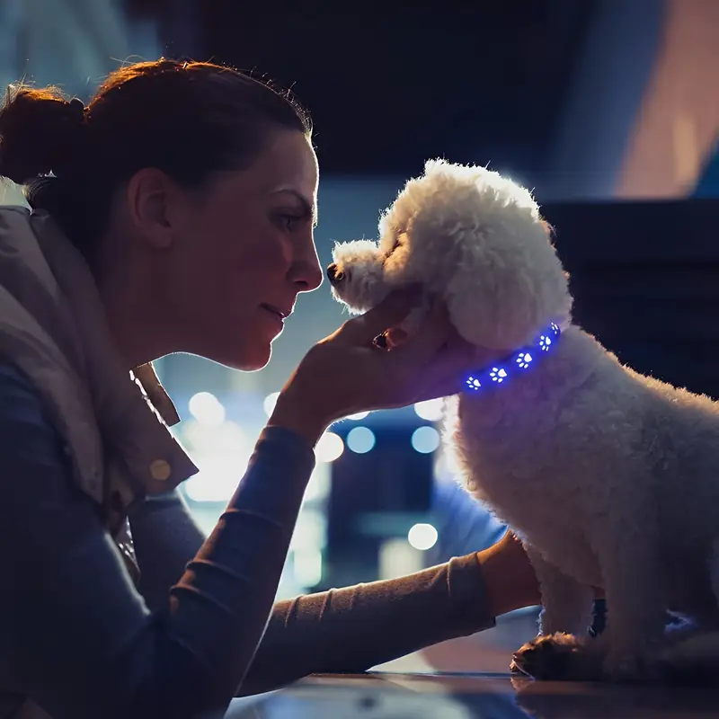 USB Rechargeable - LED Glow Dog Collar