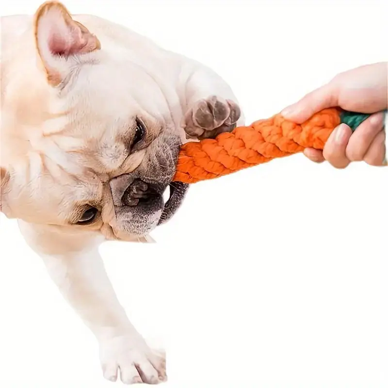 Carrot Pet Toy