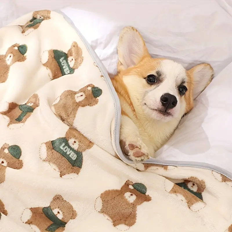 Soft fleece Pet blanket with Bear pattern