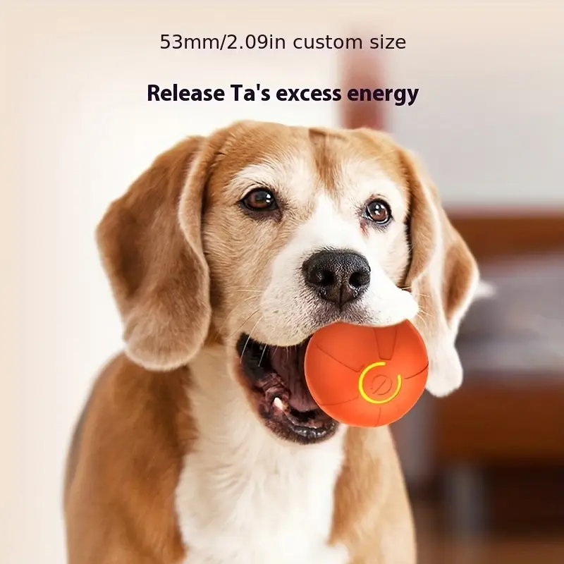 USB Rechargeable Pet Ball