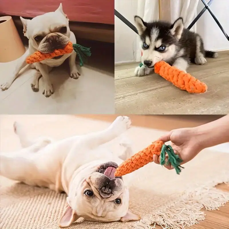 Carrot Pet Toy