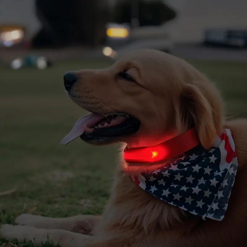 LED Glow Dog Safety Collar