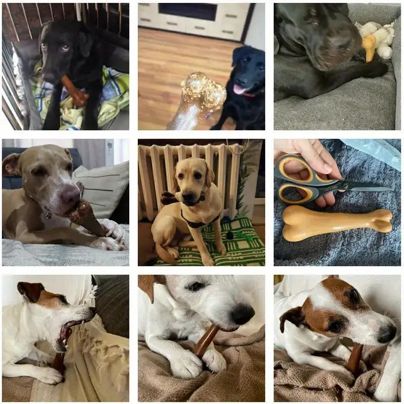 Durable Dog Chew Bone - ( For Small Pet only ) - 12 Cm Bone Size 