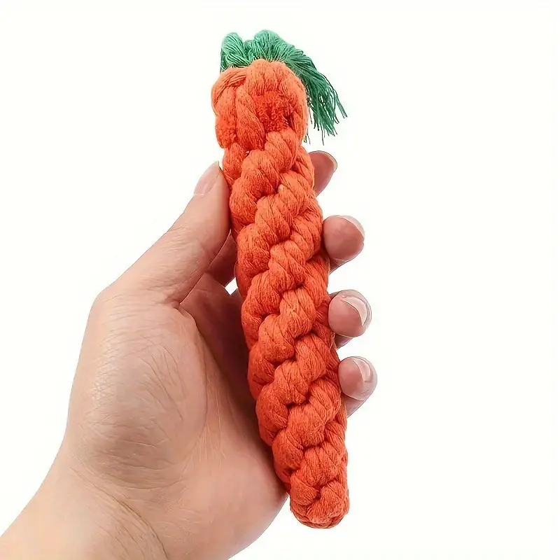 Carrot Pet Toy