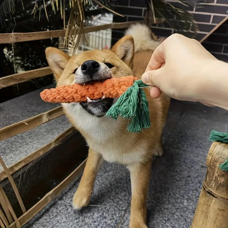 Dog Chew Toy Set - 5 Pcs