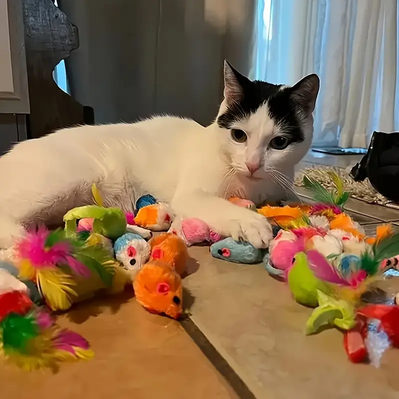 Cat Toy Variety Pack - 16 Pcs ( For Small Pet Only )