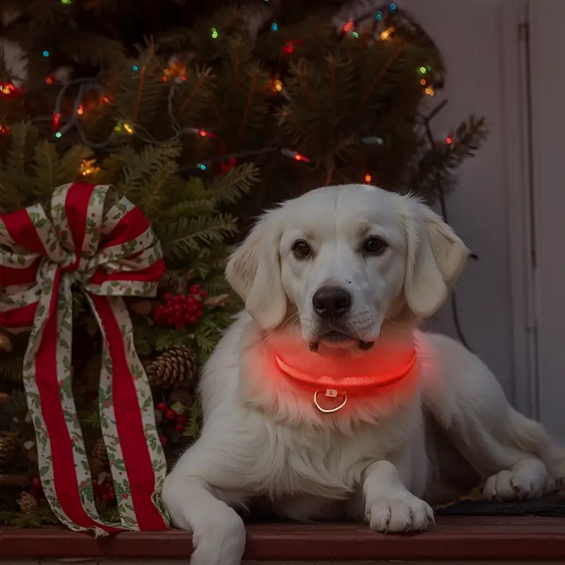 LED Glow Dog Safety Collar