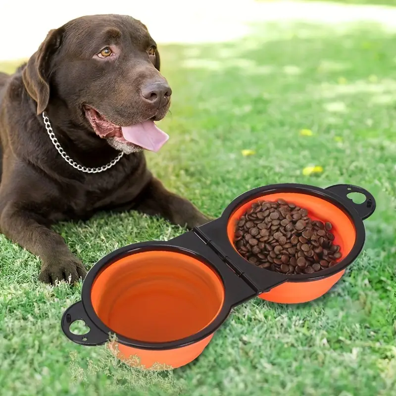Collapsible Silicone Double Dog Bowl