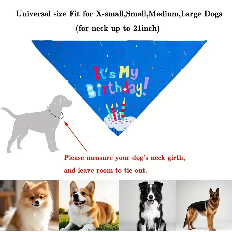 Dog Birthday Party Costume Set