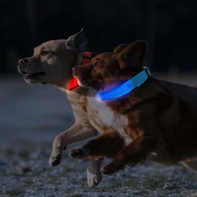 LED Glow Dog Safety Collar