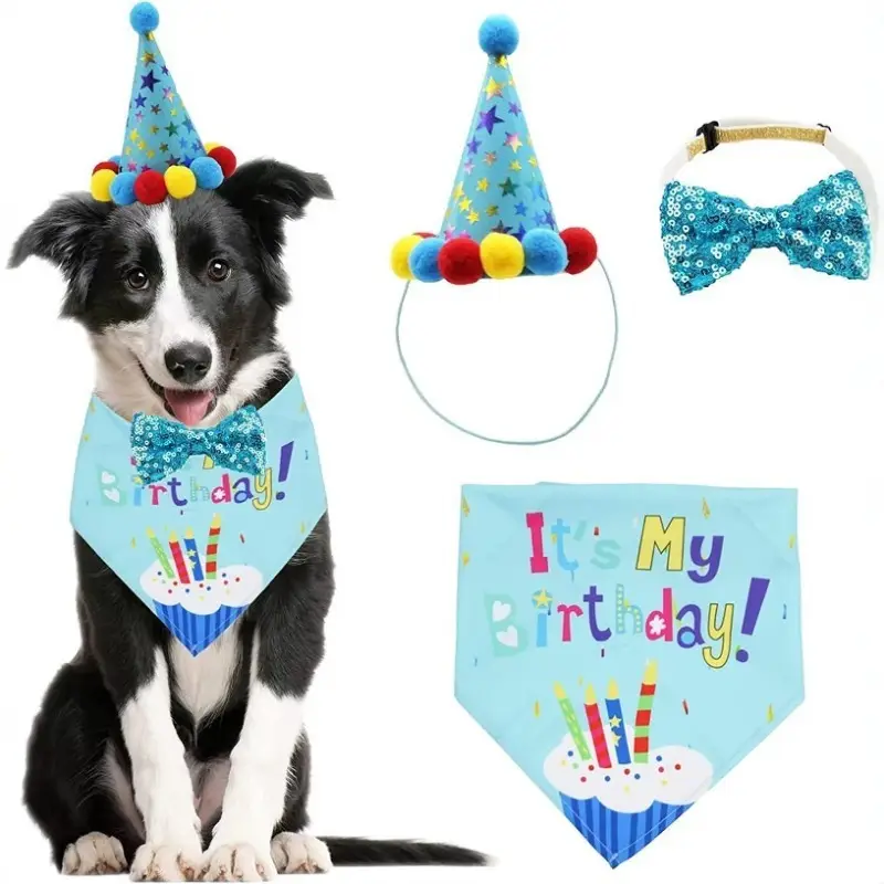 Dog Birthday Party Costume Set