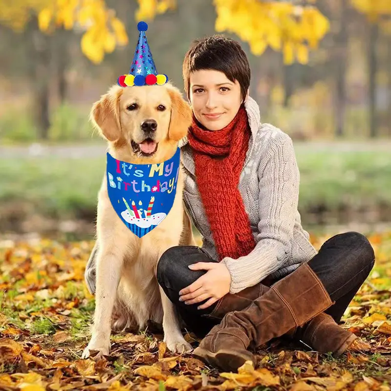 Dog Birthday Party Costume Set