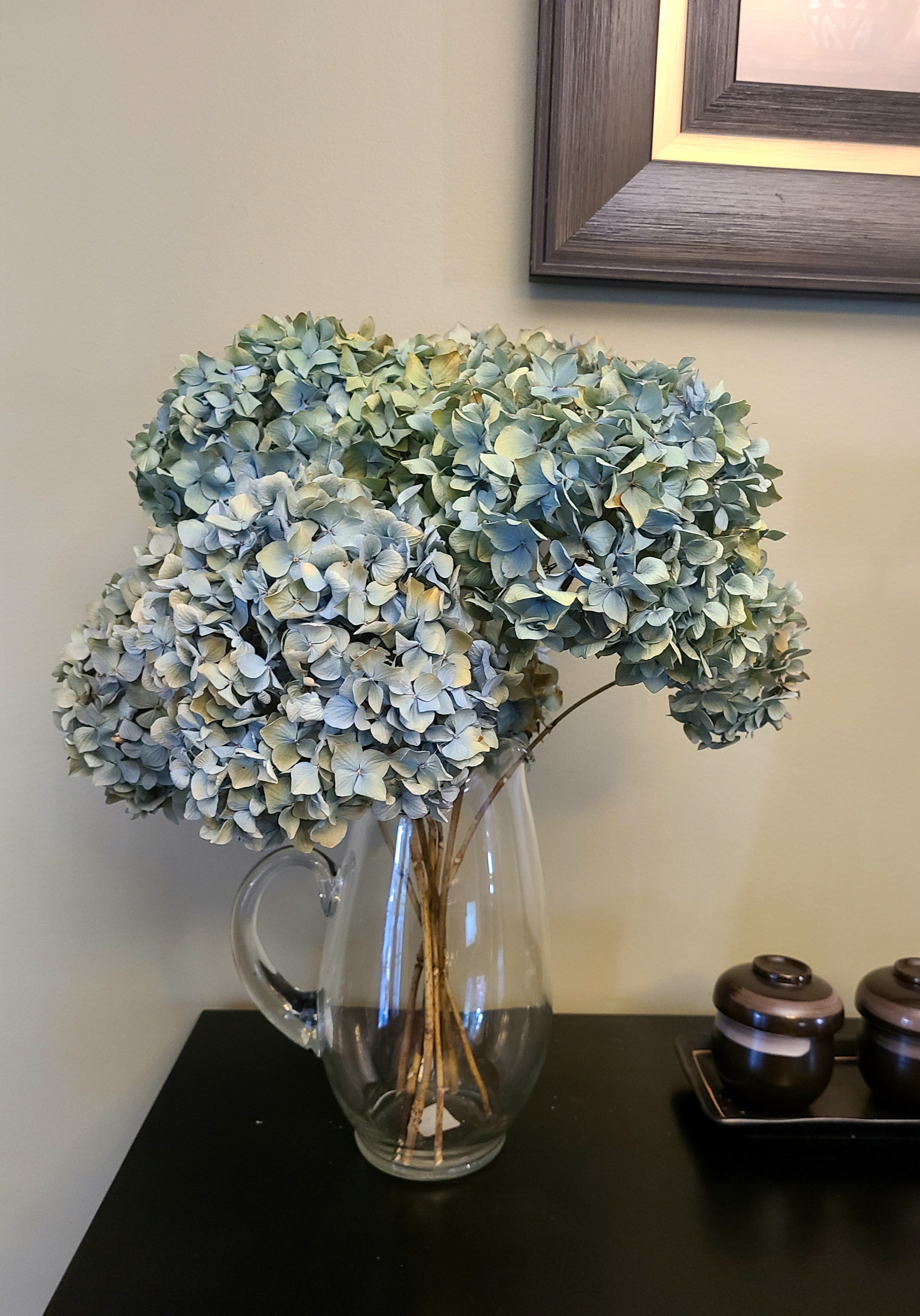 3 Huge Dried Hydrangea flowers in rare blue color