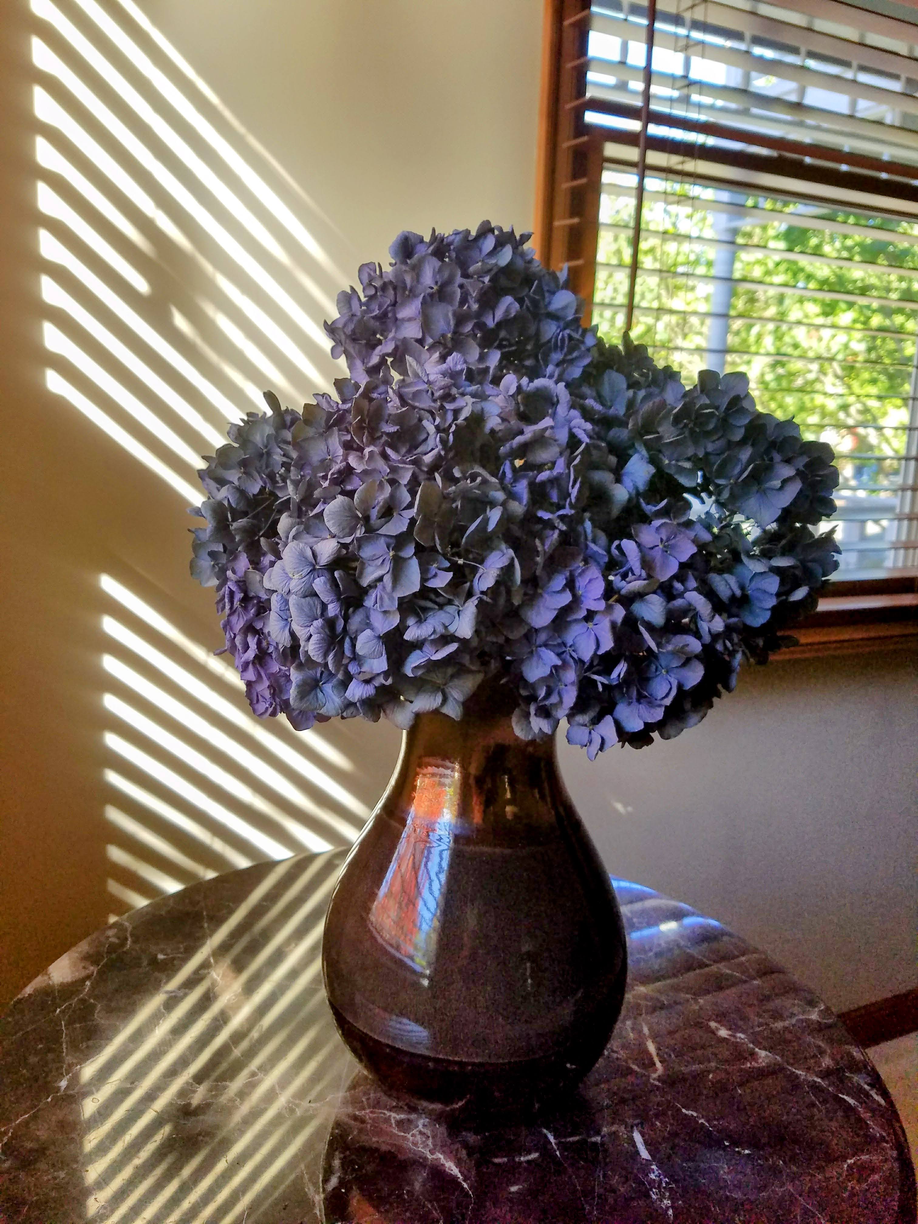 5 Dried Dark Purple/Blue Hydrangeas