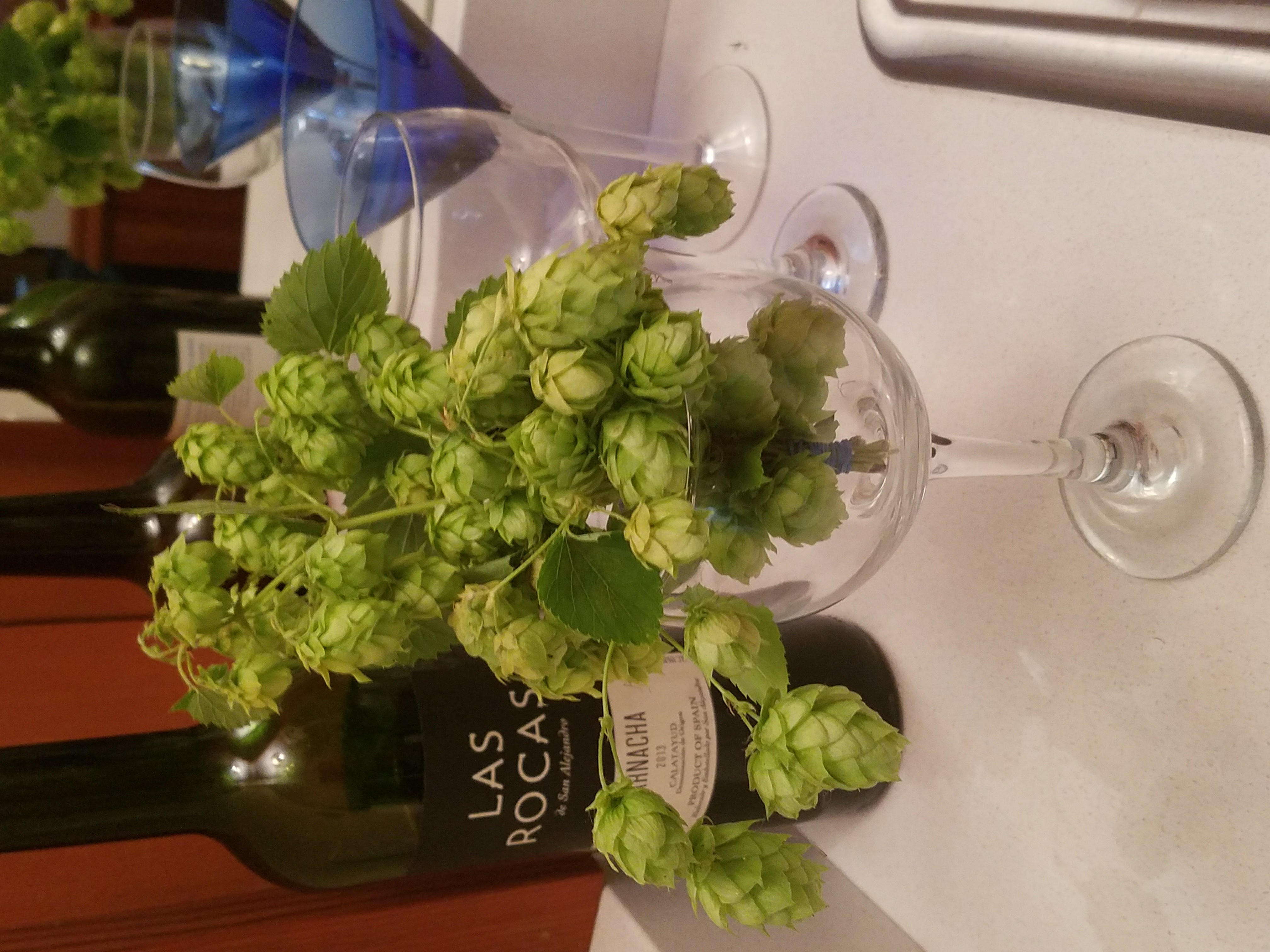 Fresh Hop Cones Bouquet