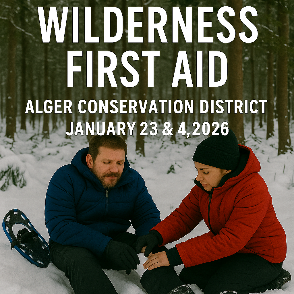 WFA at Munising Township Offices