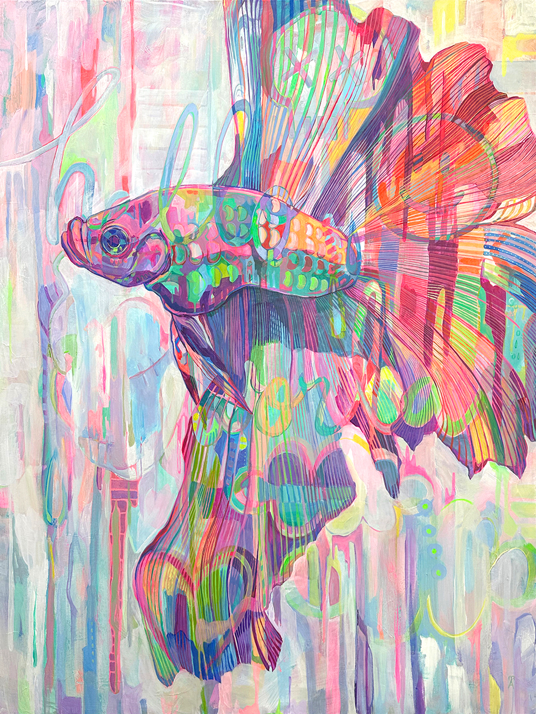 Greeting From Rainbowfish