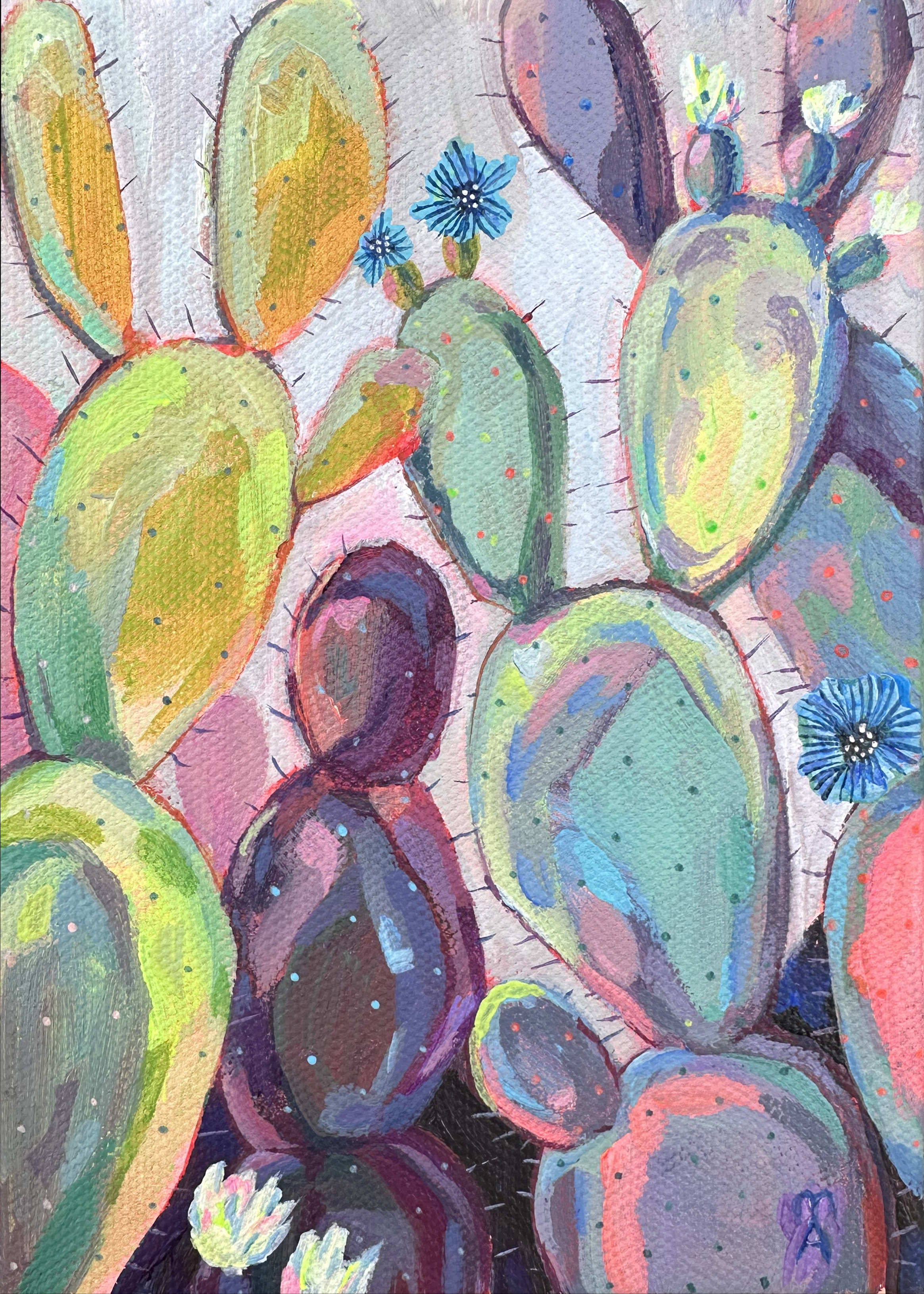 Disco Cacti