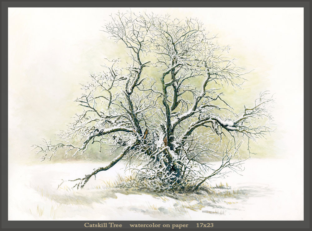 Catskill Tree. Watercolor