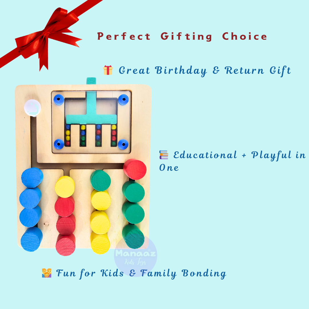 Four Colour Sorting Educational Toy | Manaaz Kids