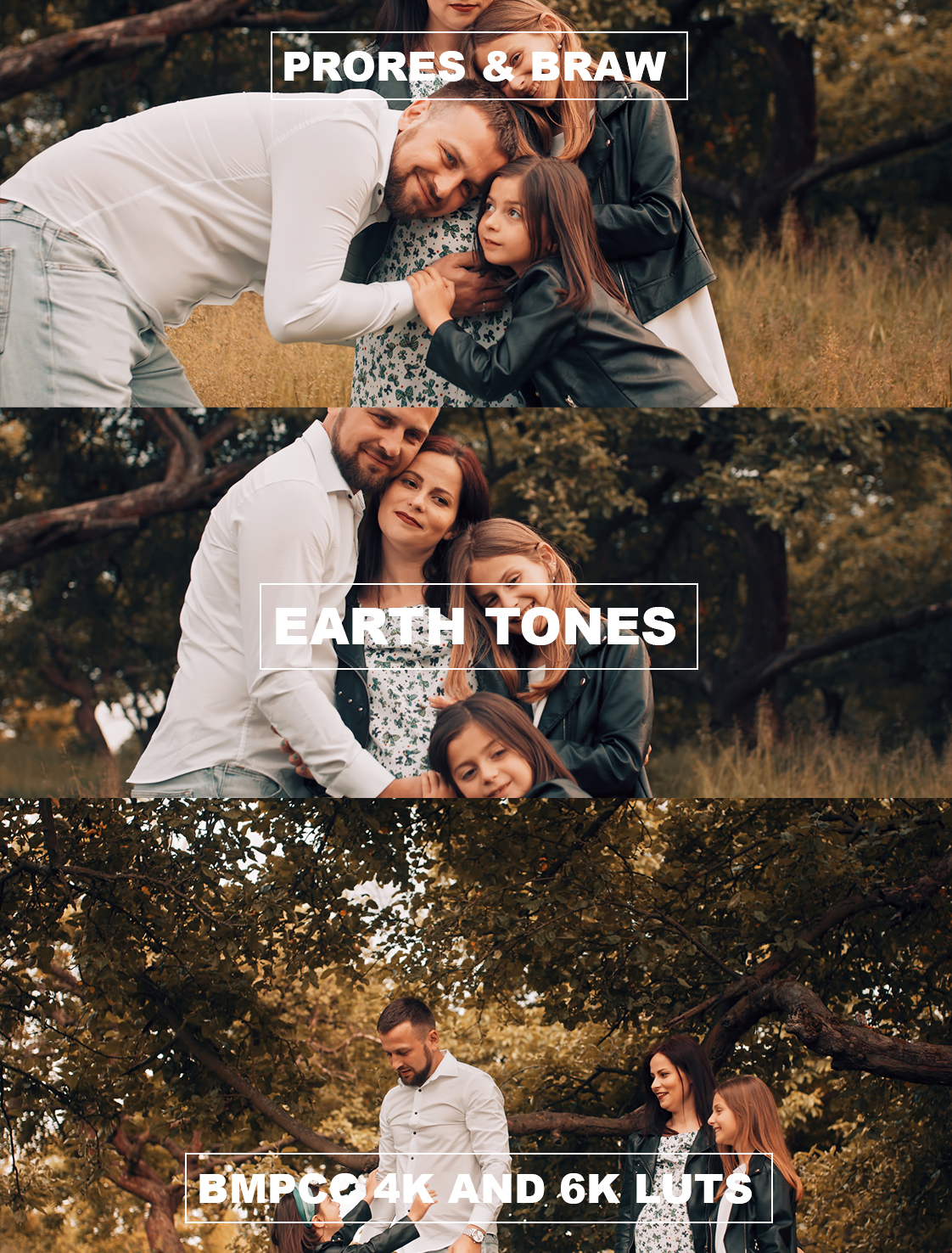 Earth Tones LUTs for BMPCC 4K & 6K – Cinematic Color Grading Pack for Blackmagic Pocket Cinema Camera