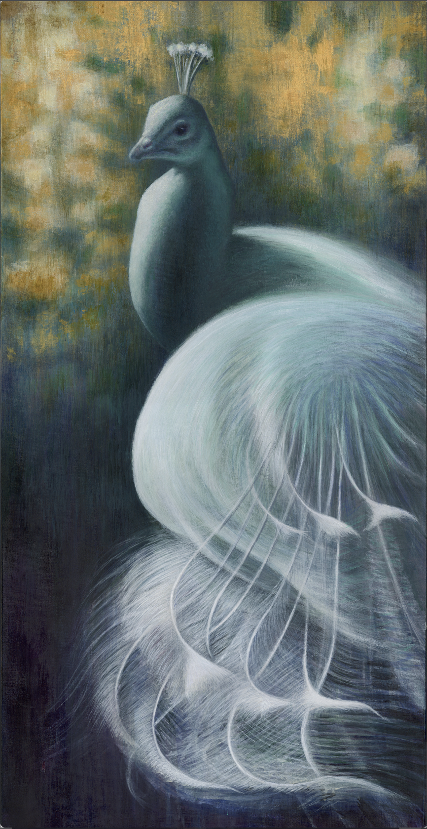The White Peacock