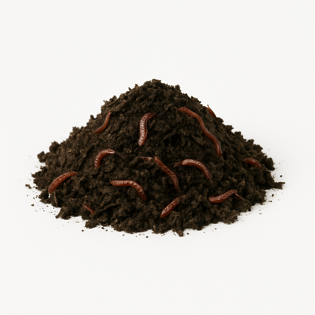 Vermicompost