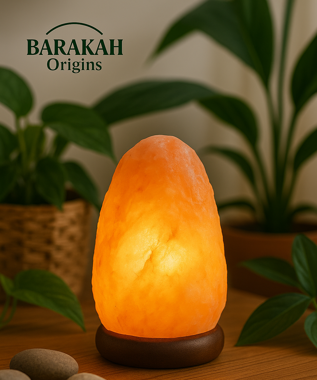 Large Natural Rock Salt Lamp (8–10 Kg – Large Size)