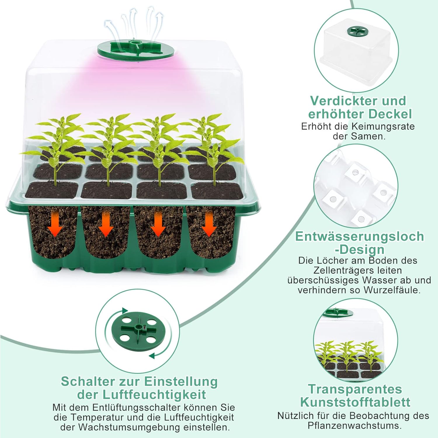 Mini Gewächshaus Anzucht, 5 Stück Zimmergewächshaus Anzuchtkasten mit Licht, Treibhaus Anzuchtschale mit Hoher Deckel, Setzling Starter Tabletts,Anzuchtset,10 Etiketten 2 Werkzeuge,für Sämling Pflanze