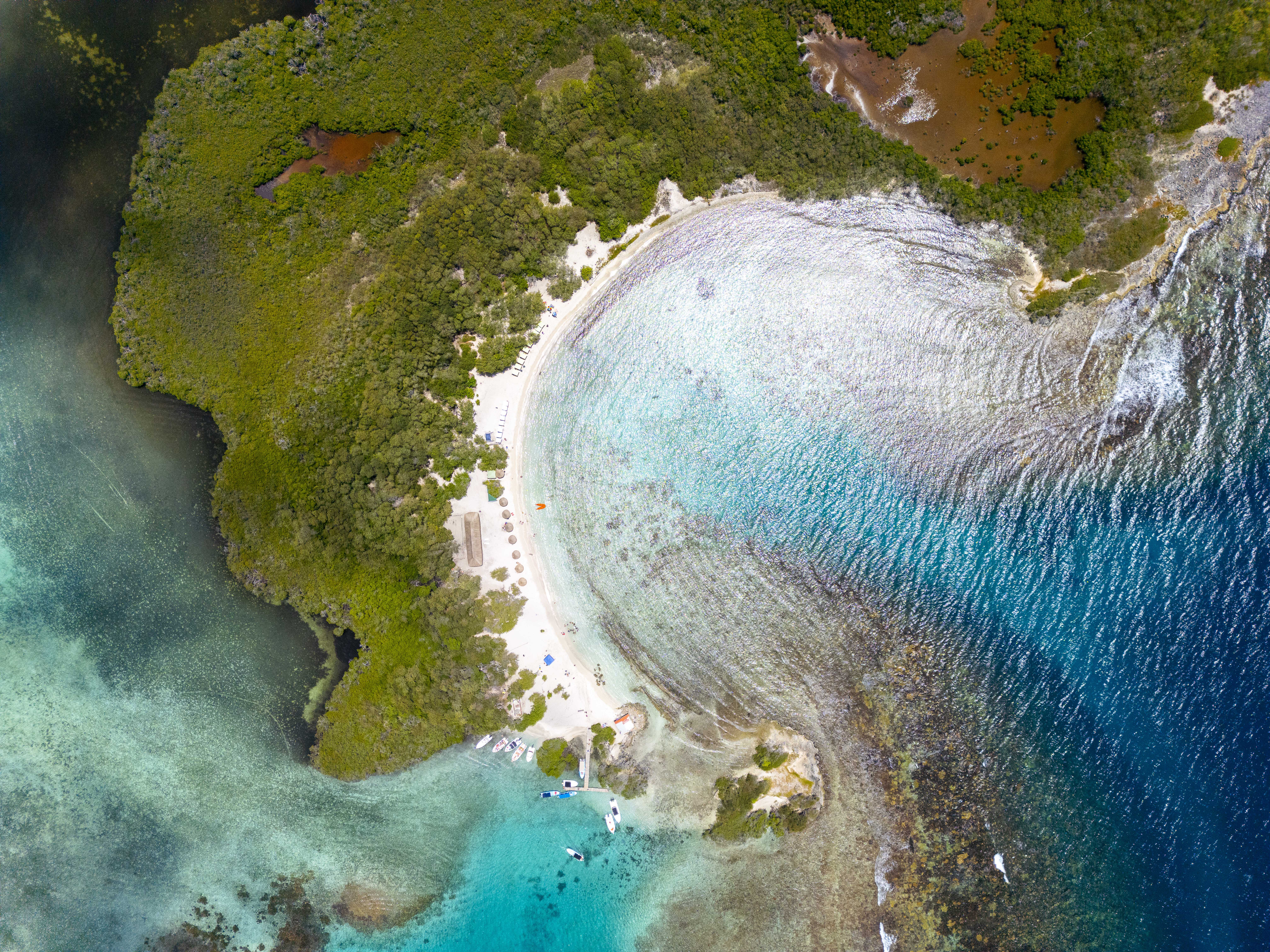Morrocoy